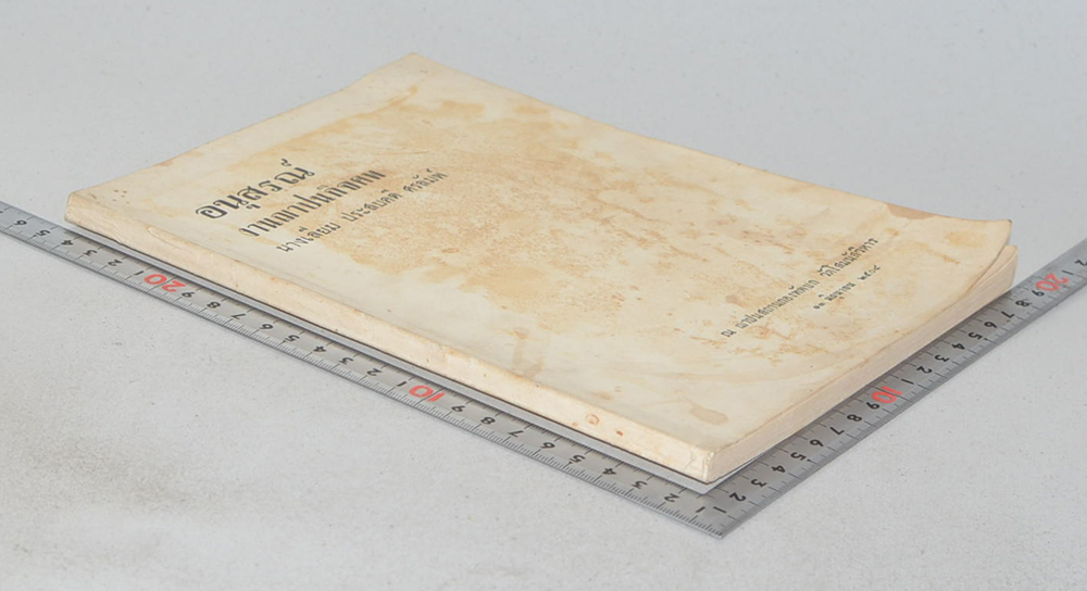 นางเลี่ยม ประสบคดี ศรลัมพ์ (วิธีทำงาน ศิลปของการทำงาน)