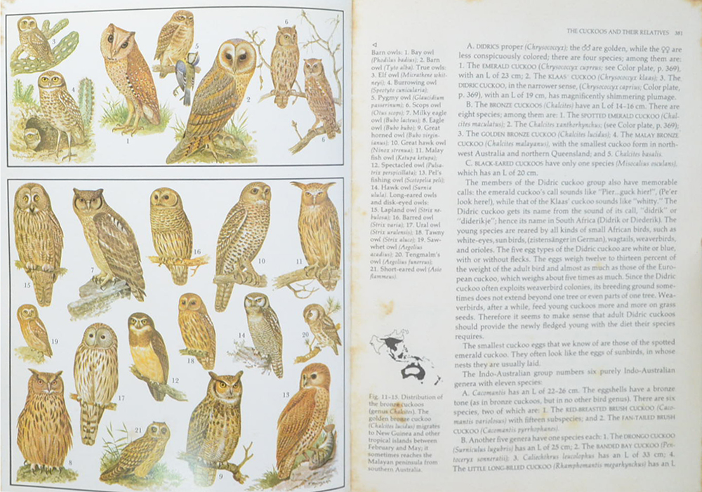 Grzimek’s ANIMAL LIFE ENCYCLOPEDIA