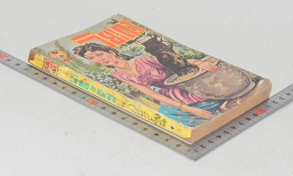 วิยะดา (เล่มเล็ก)