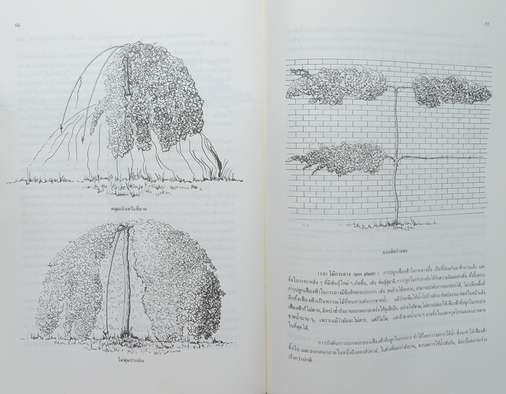 อนุสรณ์ งานฌาปนกิจศพ นายเจริญ เริงเกษตรกิจ (เรื่องเฟื่องฟ้า)