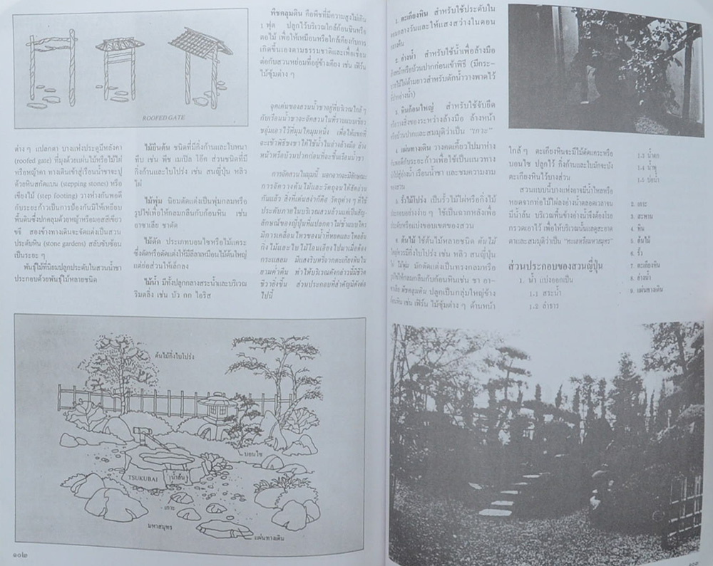 สุรนุช กานตรัตน์ (เรื่องการจัดสวนในบ้าน)