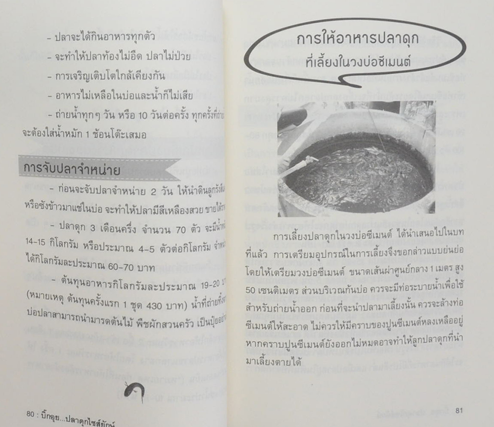 บิ๊กอุย...ปลาดุกไซส์ยักษ์