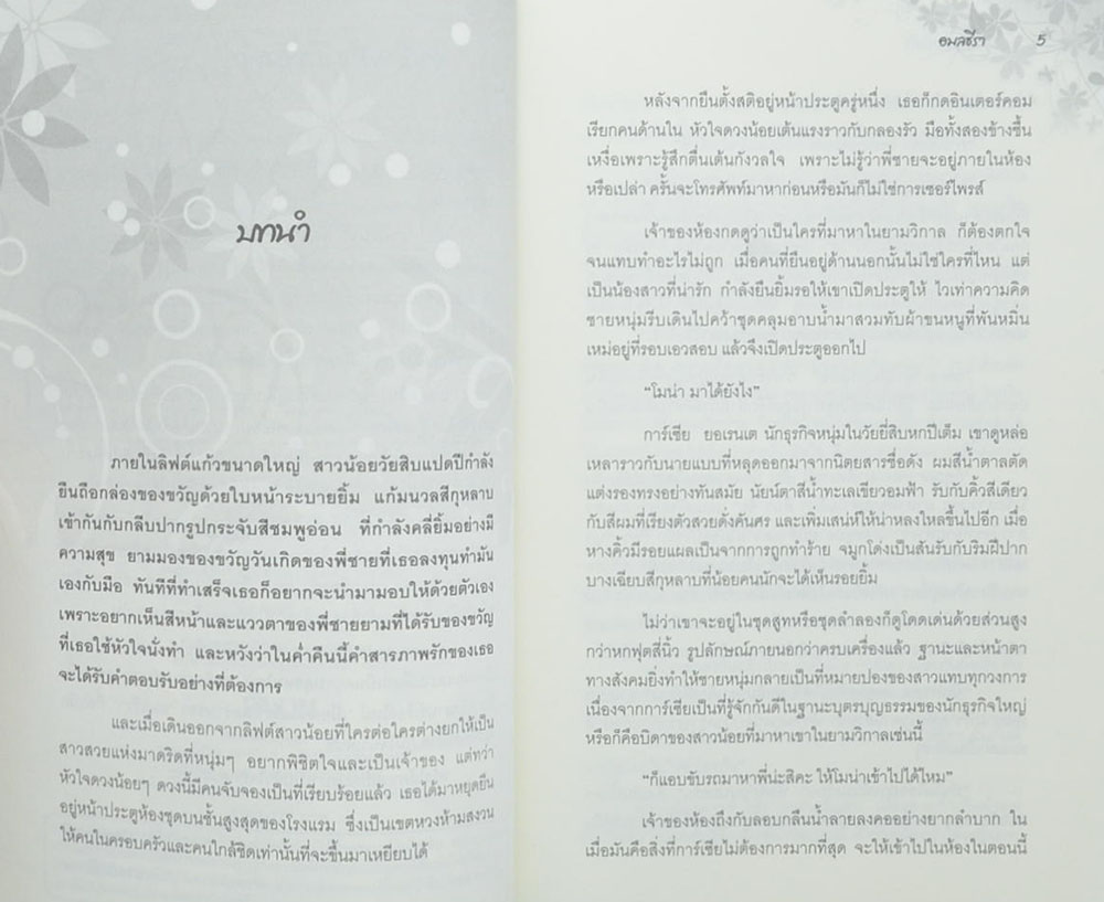 เมีย (ซ่อน) รัก (เล่มเดียวจบ)