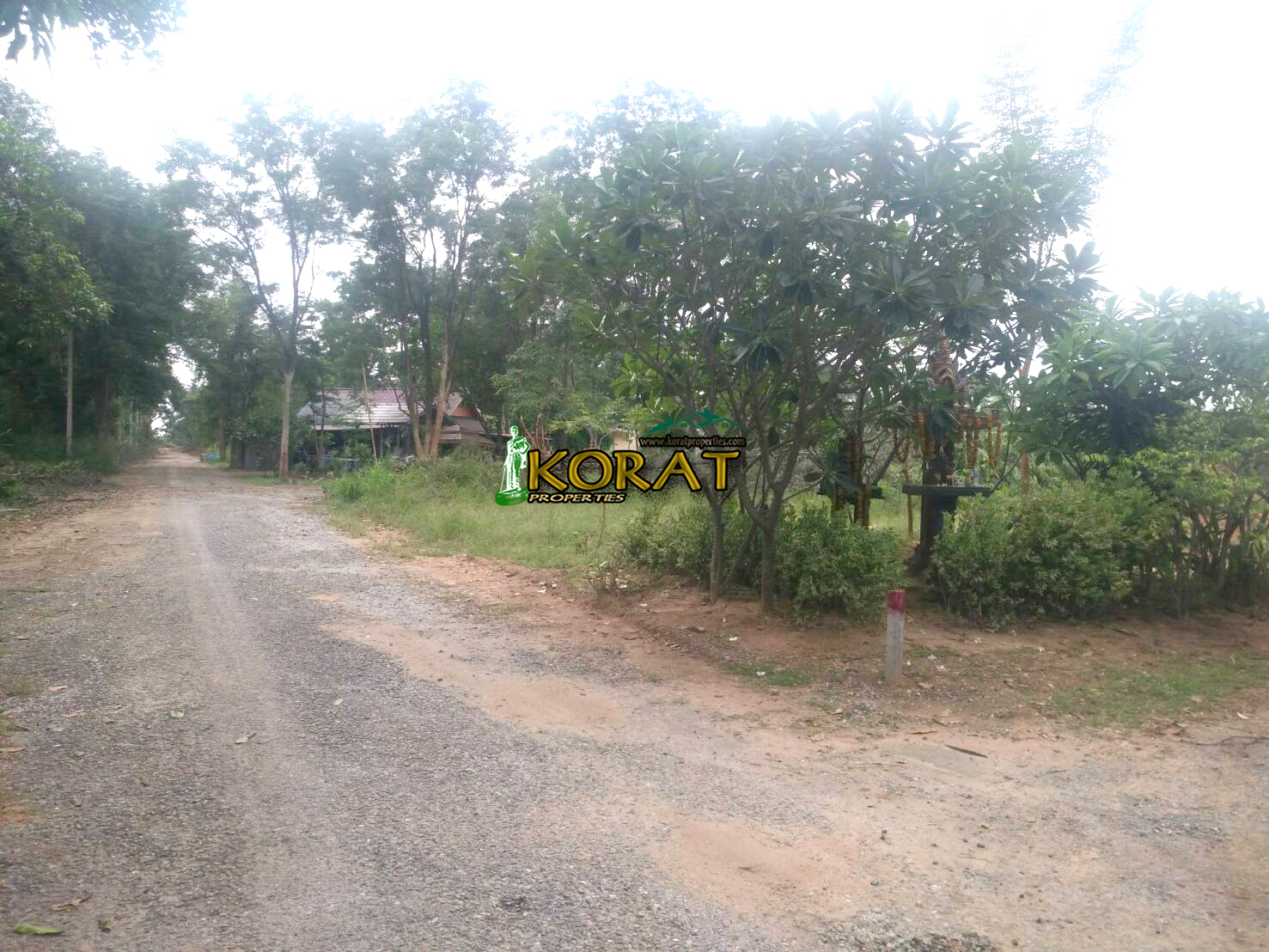 ขายที่ดิน แบ่งขายแปลงละ 60ตรว. โซน มทส.ประตู1 #รหัสทรัพย์ KP-0169