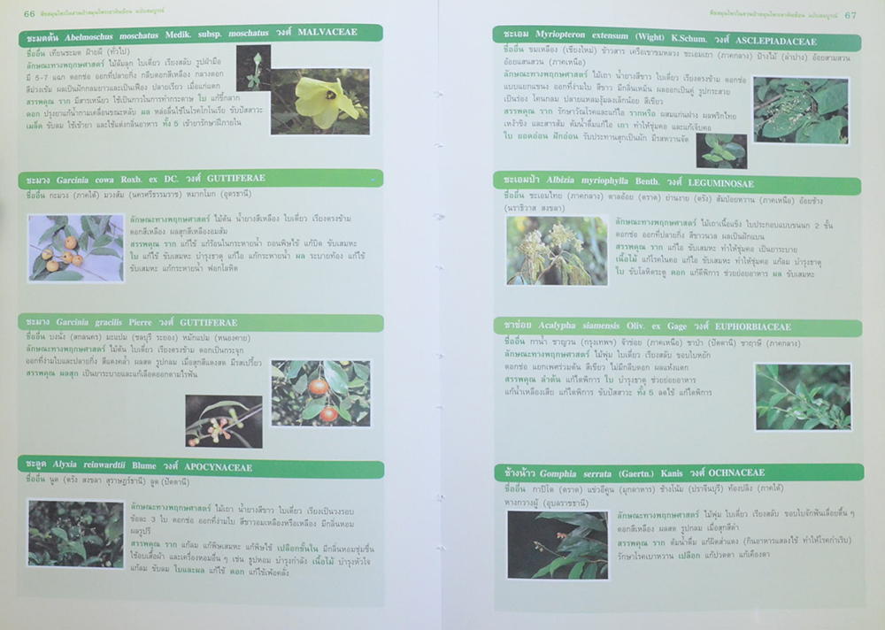 พืชสมุนไพรในสวนป่าสมุนไพรเขาหินซ้อน ฉบับสมบูรณ์ พ.ศ.2550 (ขายตามสภาพ)