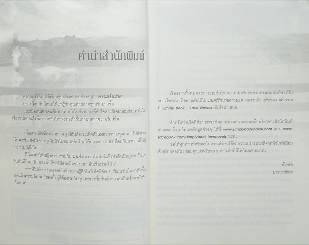 มนตร์รักนายคาวบอย (เล่มเดียวจบ)