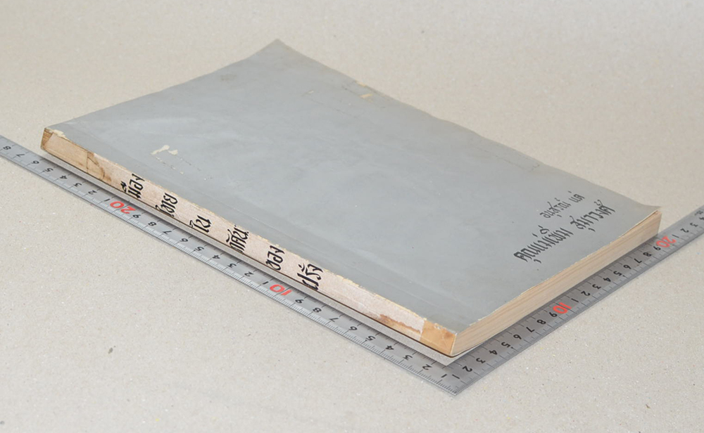 คุณแม่เพิ่ม สุมาวงศ์ (เมืองไทยในทัศนะของฝรั่ง)