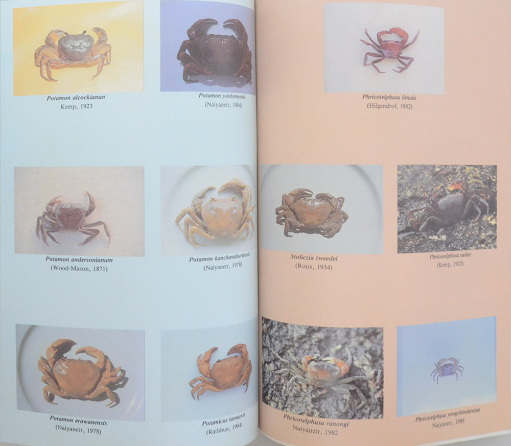 รศ.นพ.ประพันธ์ จิตต์จำนงค์ (เครื่องราชอิสริยาภรณ์-ปูน้ำจืดในประเทศไทย)