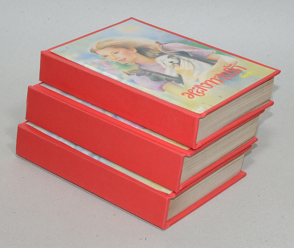 หลงทางรัก (3 เล่มจบ)