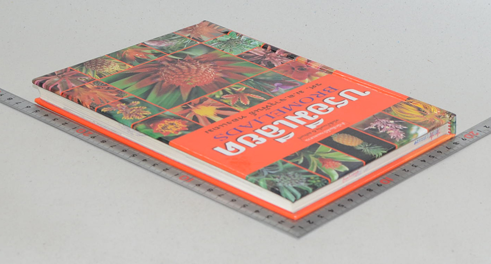 บรอมีเลียด (ขายตามสภาพ)