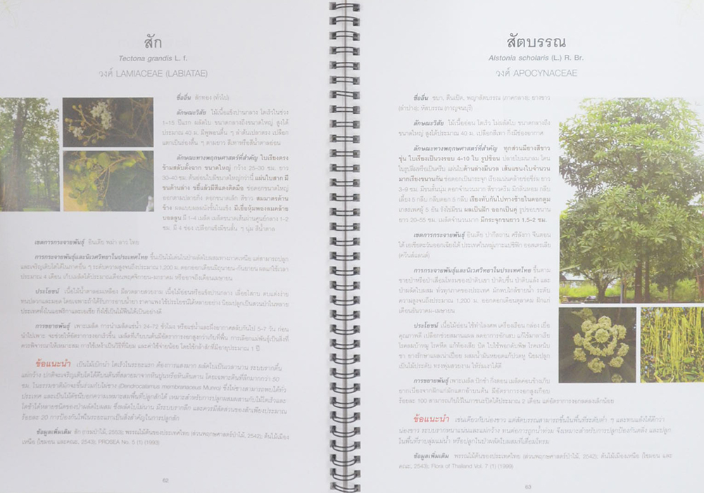 คู่มือเลือกชนิดพรรณไม้เพื่อปลูกป่าป้องกันอุทกภัย