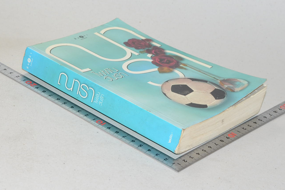 ไฟฝันวันรัก (ขายตามสภาพ)