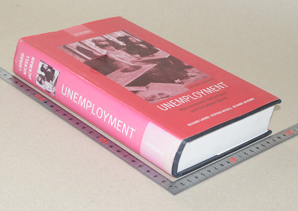 UNEMPLOYMENT Macroeconomic Performance and the Labour Market