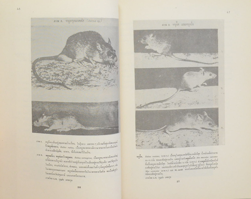 ดร.สวาท รัตนวรพันธุ์ (ปูนาในประเทศไทย)