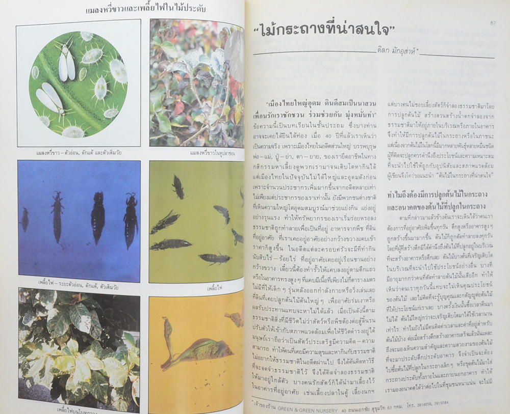 วันต้นไม้ประจำปีแห่งชาติ 2533