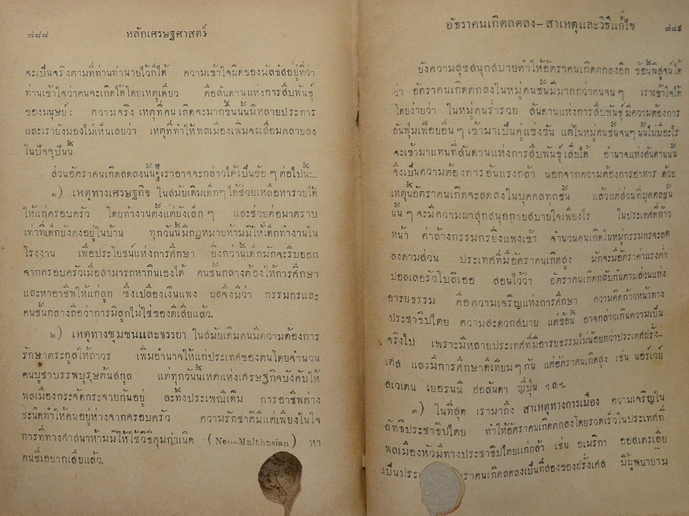 หลักเศรษฐศาสตร์ (ตำหนิ)