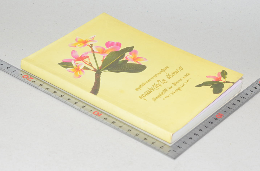 คุณแม่ขวัญใจ มั่นหมาย (คู่มือดับทุกข์)