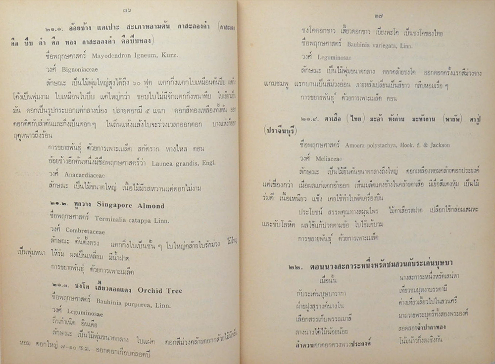 นางฤทธิรณไชย (ต้นไม้ในวรรณคดี)