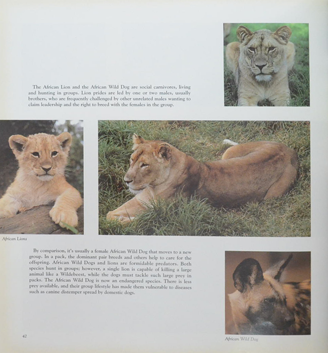 THE ROYAL MELBOURNE ZOOLOGICAL GARDENS