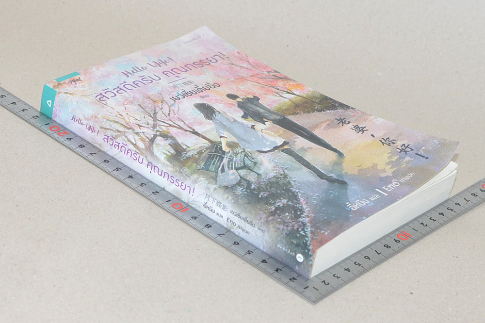 สวัสดีครับ คุณภรรยา!