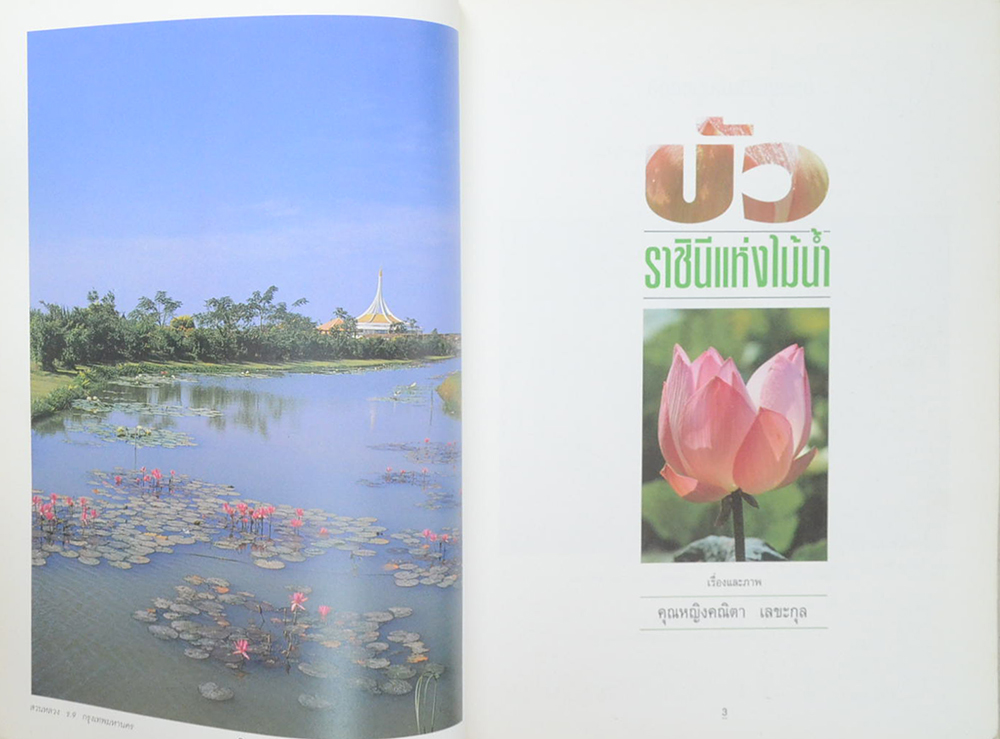 บัว ราชินีแห่งไม้น้ำ