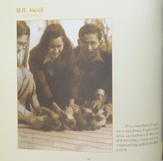 8 ทศวรรษ ฉัตรแก้วของแผ่นดิน