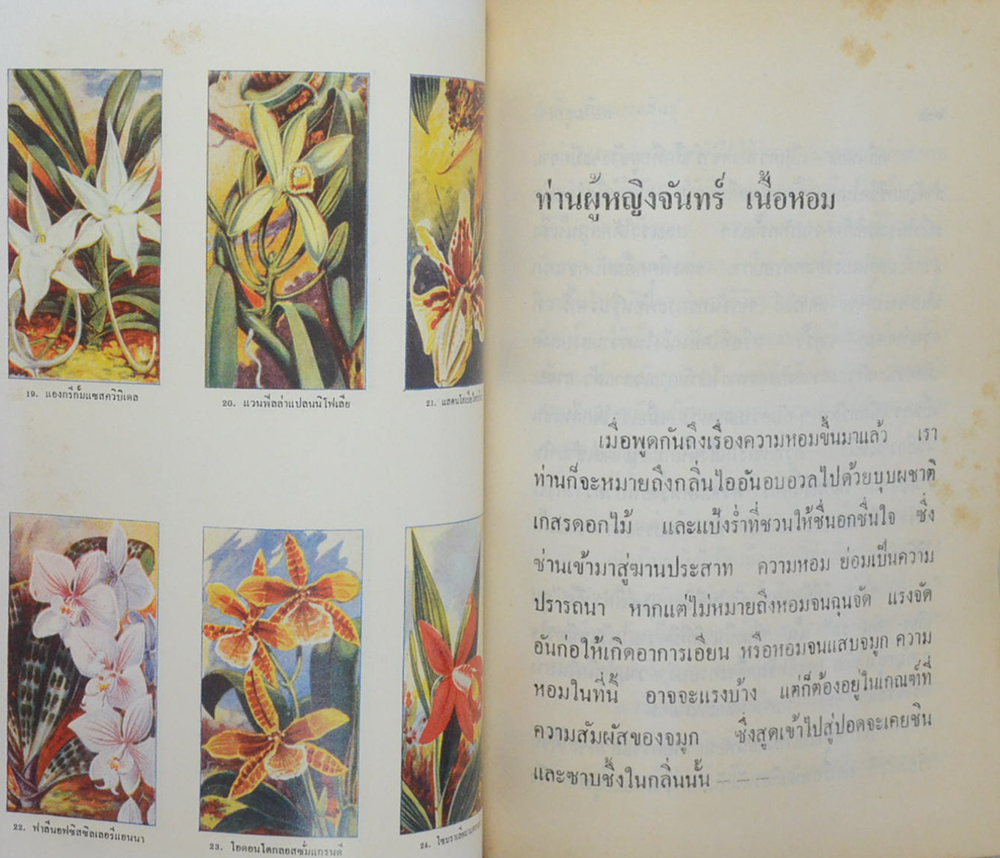 สยามยุคเก่า (ขายตามสภาพ)