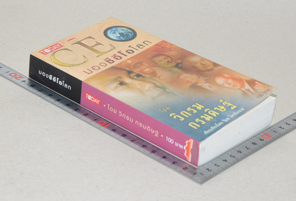 CEO มองซีอีโอโลก (เล่มเล็ก)