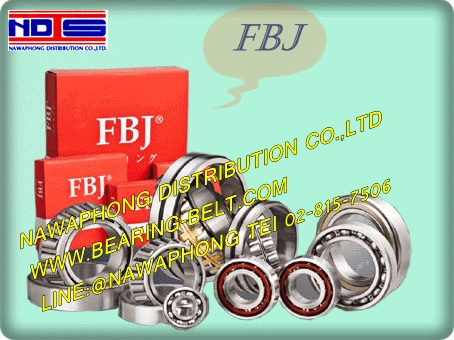 FBJ 6006 2RS