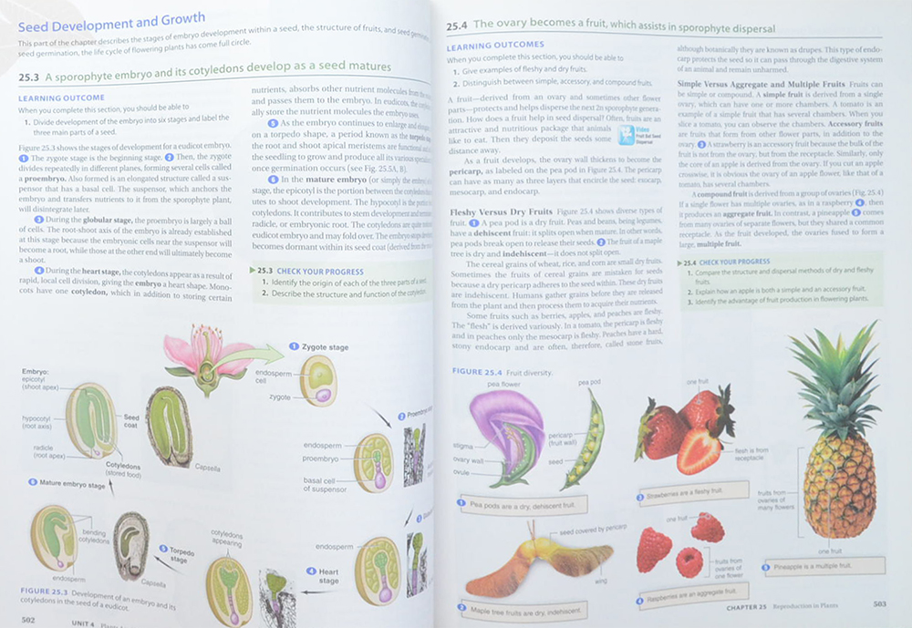 Concepts of Biology