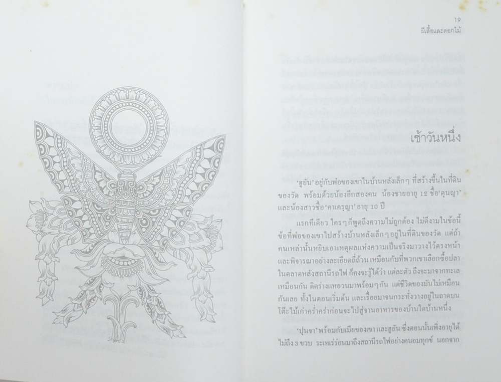 ผีเสื้อและดอกไม้