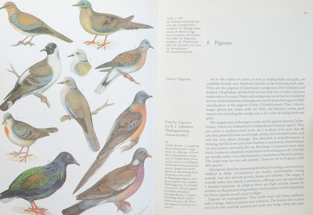 Grzimek’s ANIMAL LIFE ENCYCLOPEDIA