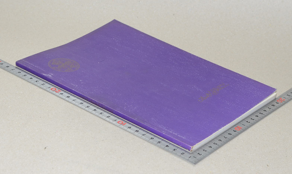 นายเปรมศักดิ์ วิเชียรภักดี (เทศกาลสงกรานต์)