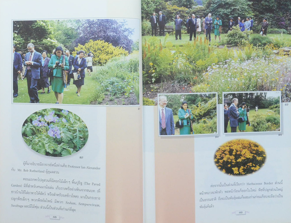 ข้ามฝั่งแห่งฝัน