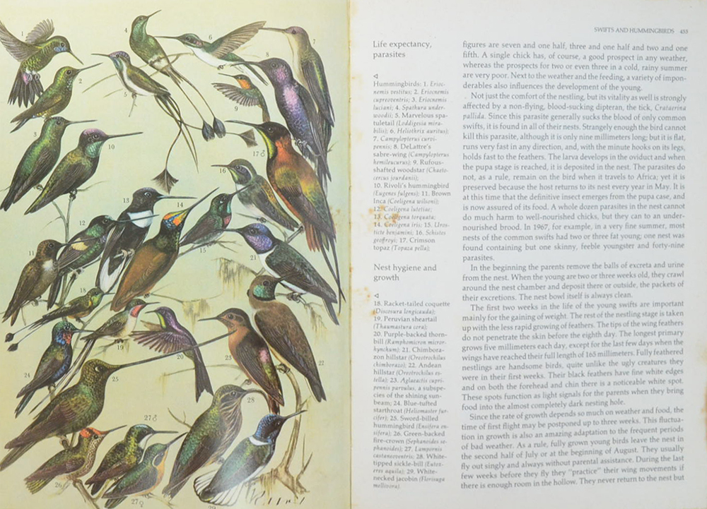 Grzimek’s ANIMAL LIFE ENCYCLOPEDIA