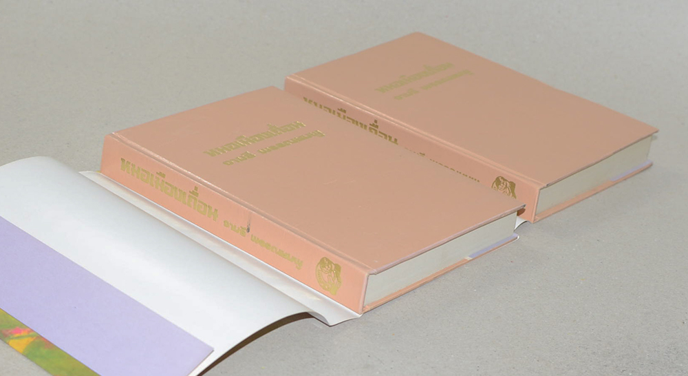 หมอเมืองเถื่อน (2 เล่มจบ)