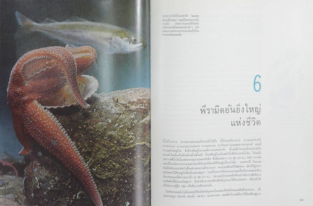 ทะเล