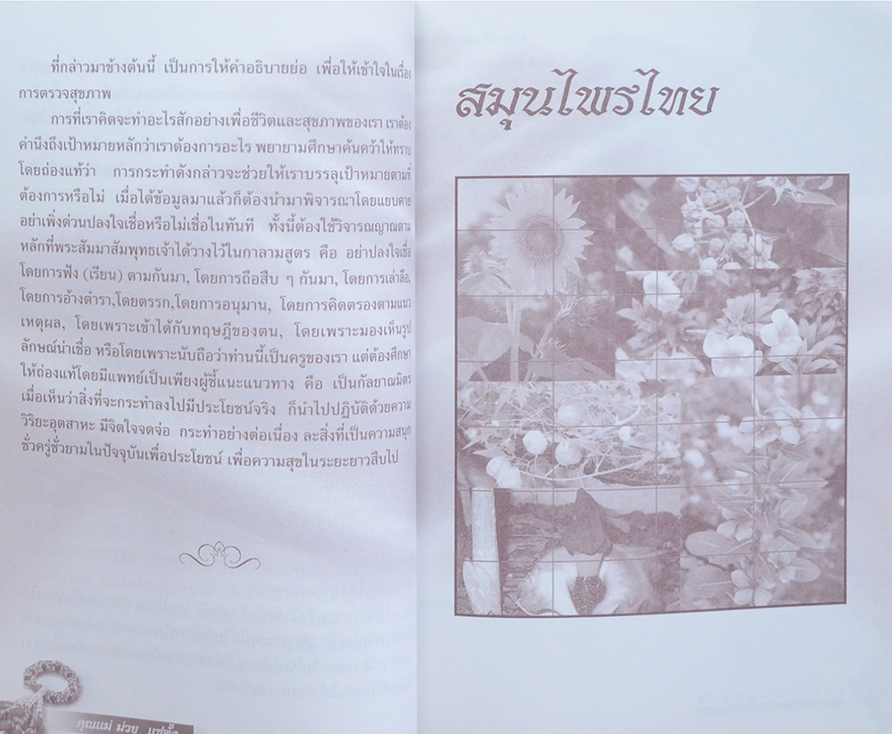 คุณแม่ม่วย แซ่ตั้ง (สวนสมุนไพรไทย)