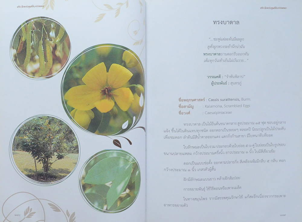 ประจิตรานุสติวรรณนา (พฤกษาในวรรณคดี เล่ม 1) (ขายตามสภาพ)