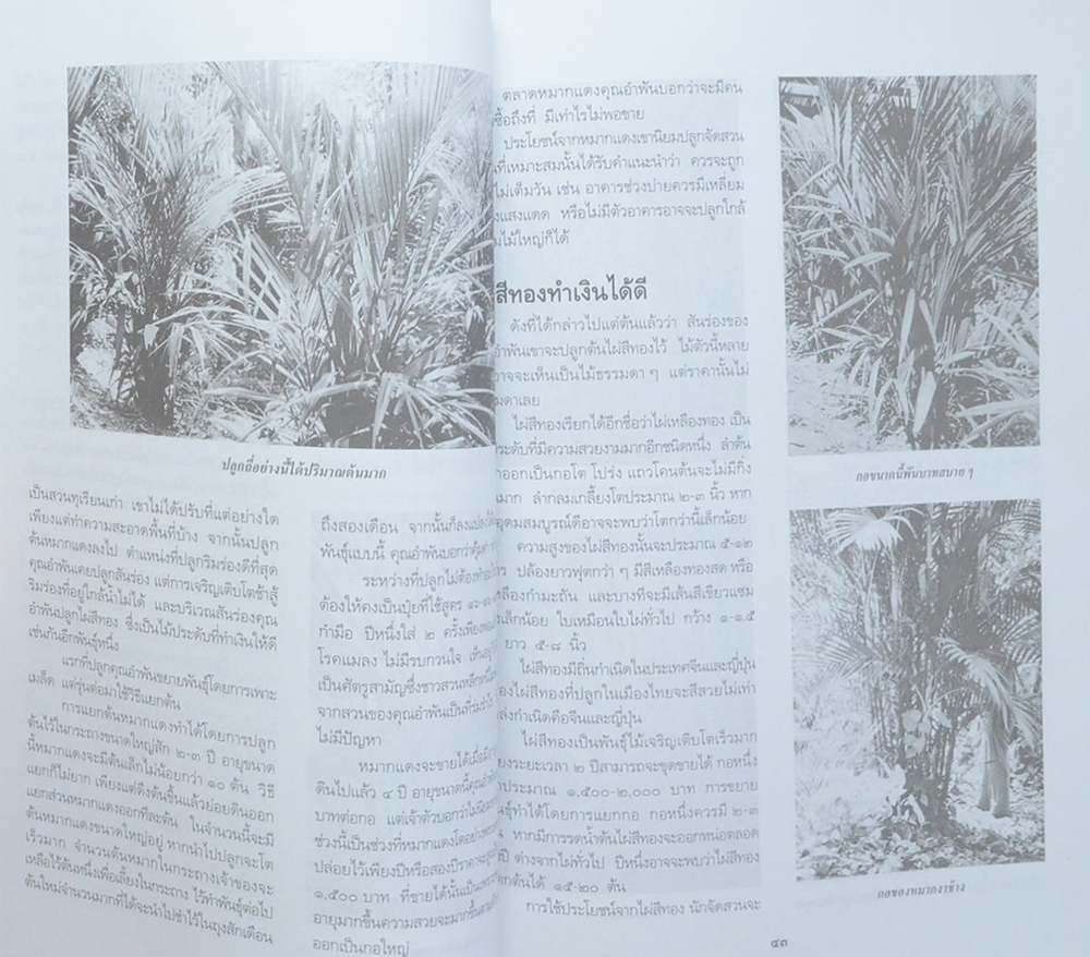 ไม้ประดับเศรษฐกิจ เล่ม 2 (ขายตามสภาพ)