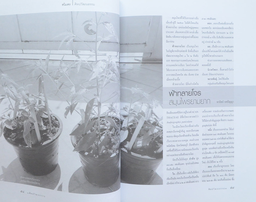 ศิลปวัฒนธรรม ปีที่ 41 ฉบับที่ 8 มิถุนายน 2563