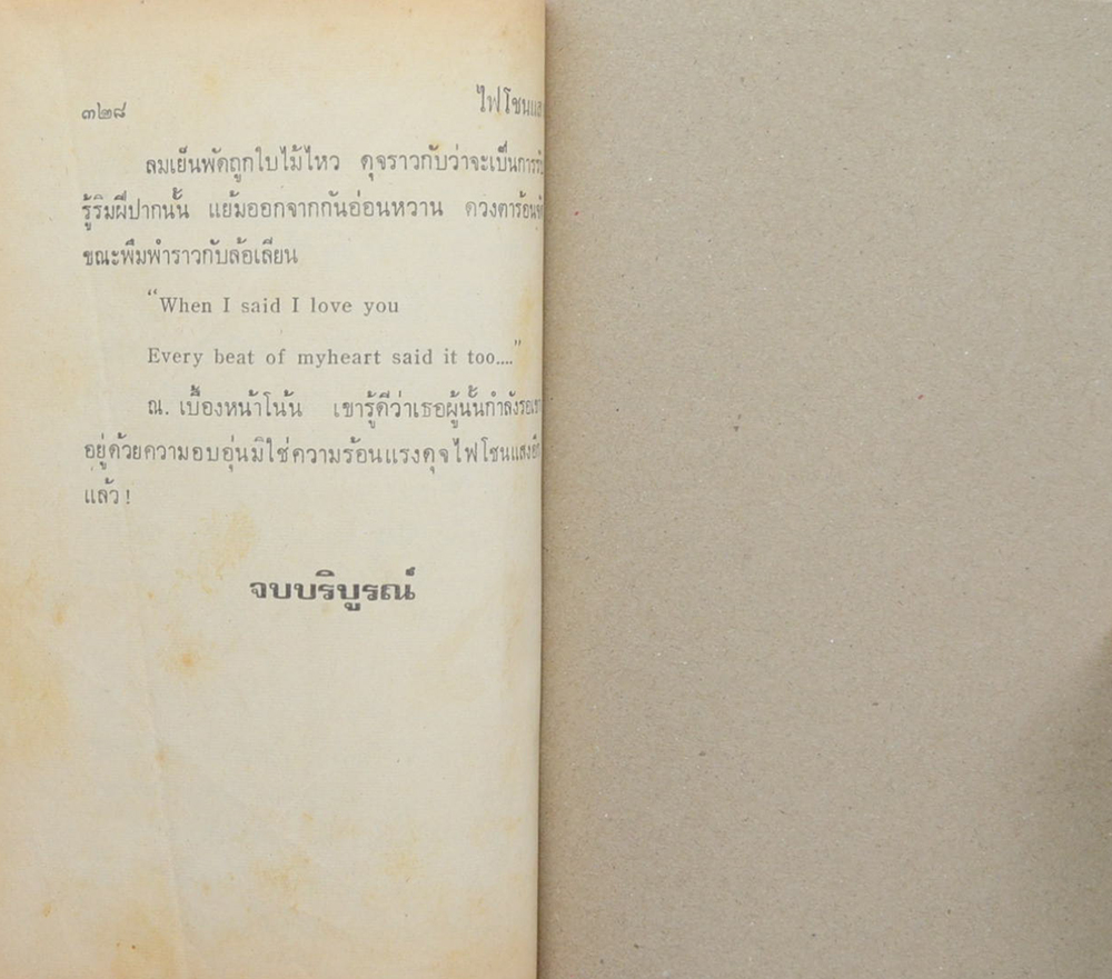 ไฟโชนแสง (2 เล่มจบ)