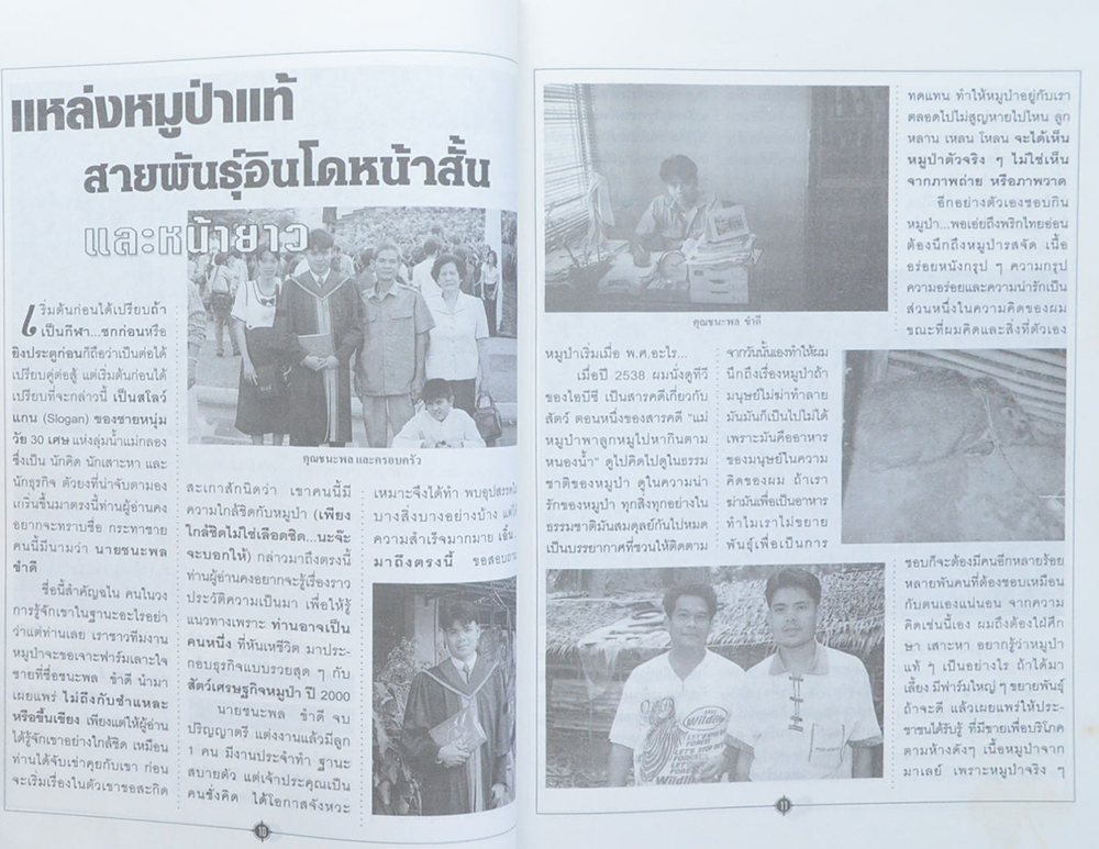 คัมภีร์หมูป่า สัตว์เศรษฐกิจปี 2000