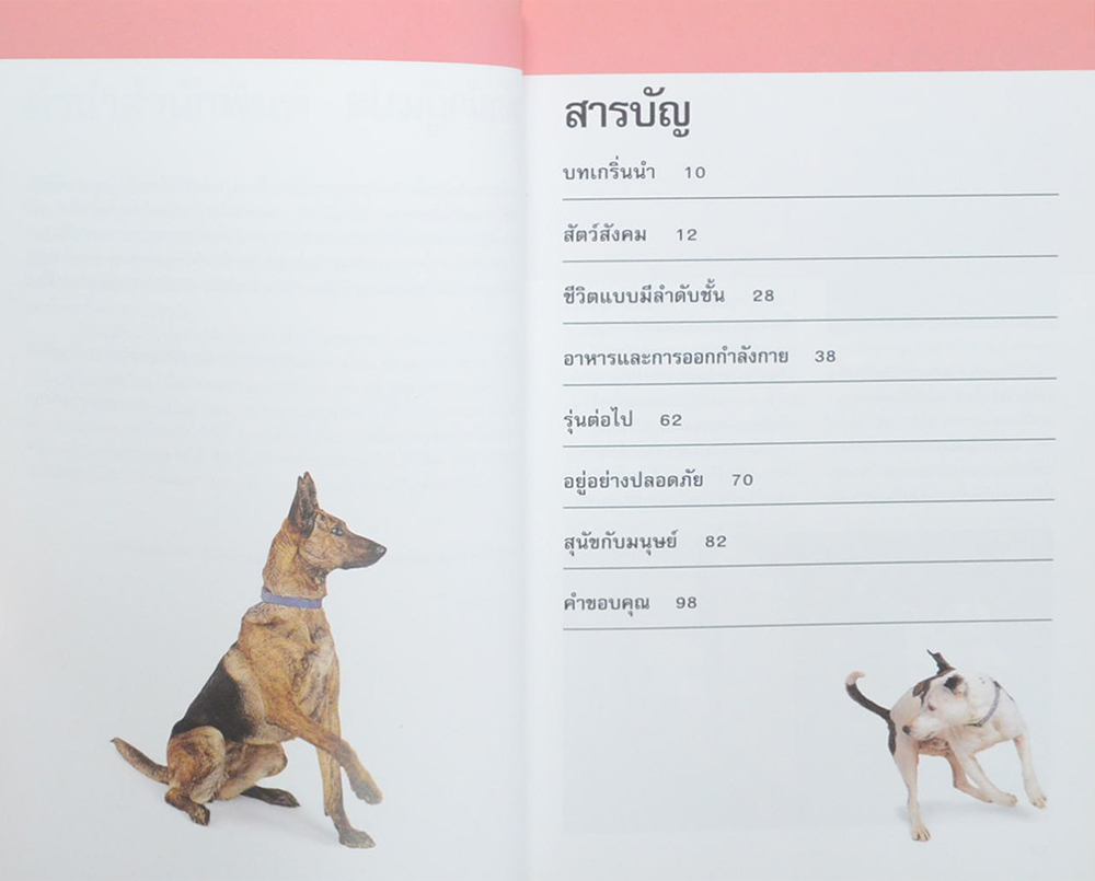 รู้ไหมหมาคิดอะไรอยู่?