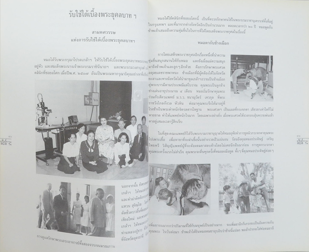 นัยน์กาย นัยน์ใจ (รับใช้ใต้เบื้องพระยุคลบาทฯ)