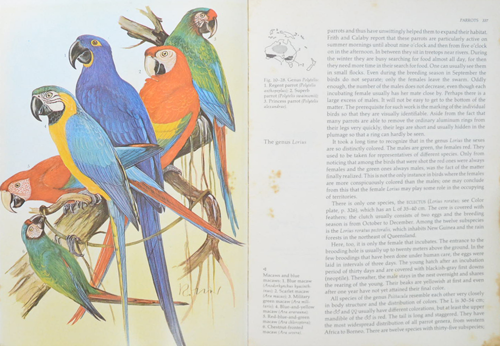 Grzimek’s ANIMAL LIFE ENCYCLOPEDIA