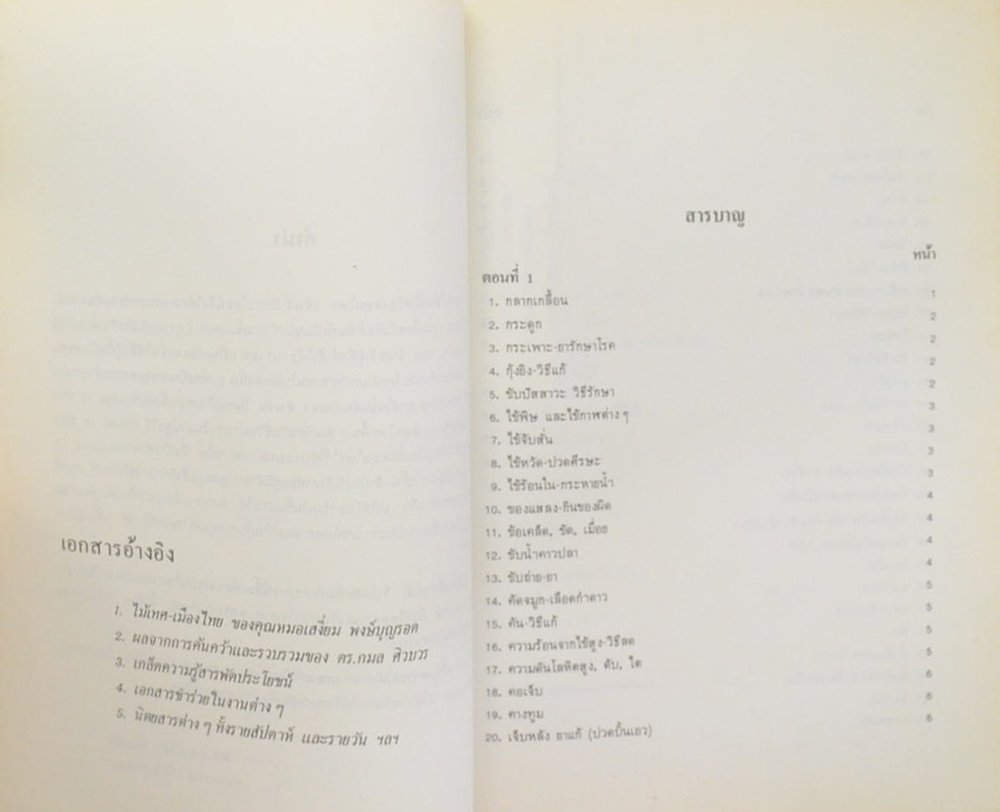 คุณหญิง นงเยาว์ อาสารงค์ (ตำรายาแก้ขัดก่อนไปหาแพทย์ (ยากลางบ้าน ของใกล้มือ))