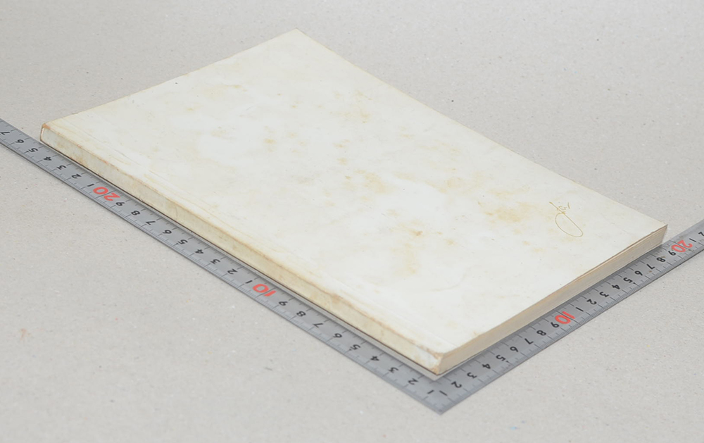 นายศักดิ์สีห์ ชุมสาย ณ อยุธยา (ผังนครหลวง 2543)