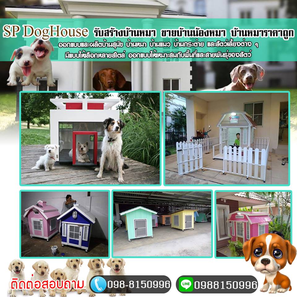 สร้างบ้านหมาบ้านแมว