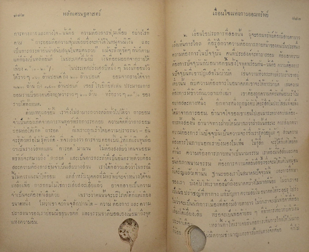 หลักเศรษฐศาสตร์ (ตำหนิ)